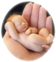 Mano protectora